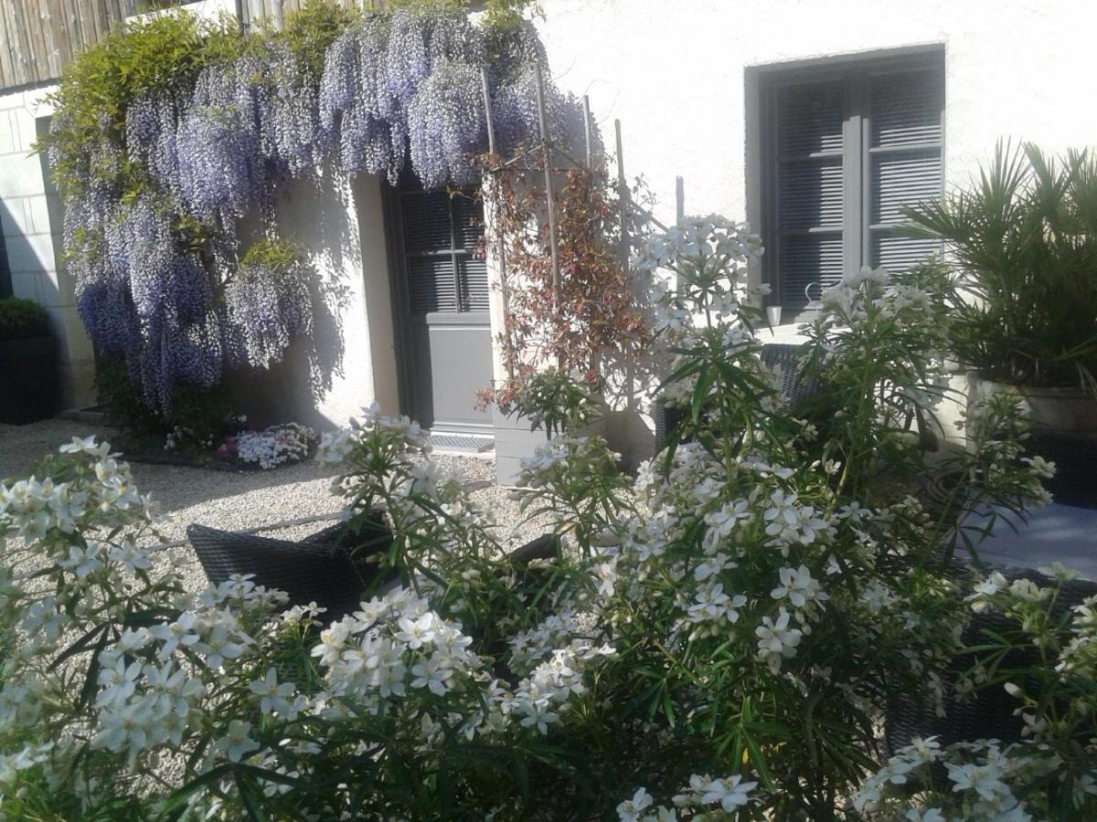 Chambres D'Hotes Rue Du Poids Bourgueil Exterior photo