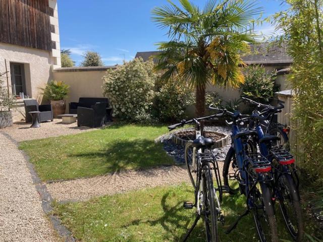 Chambres D'Hotes Rue Du Poids Bourgueil Exterior photo